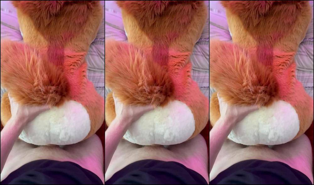 Angel Pups 1643163036 Well Bred Vixen 01 0I08Wcu80Kw439457Vzcy Source