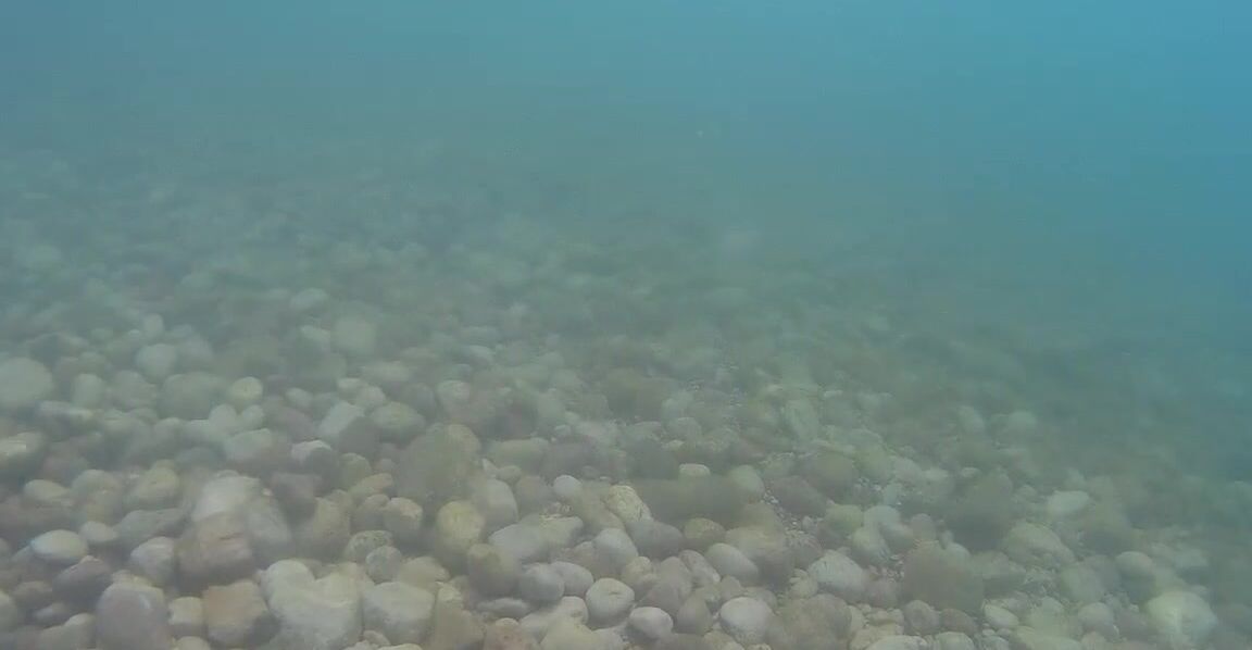 PregnantMiodelka My friend filmed me while in swim in Mid Manyvids