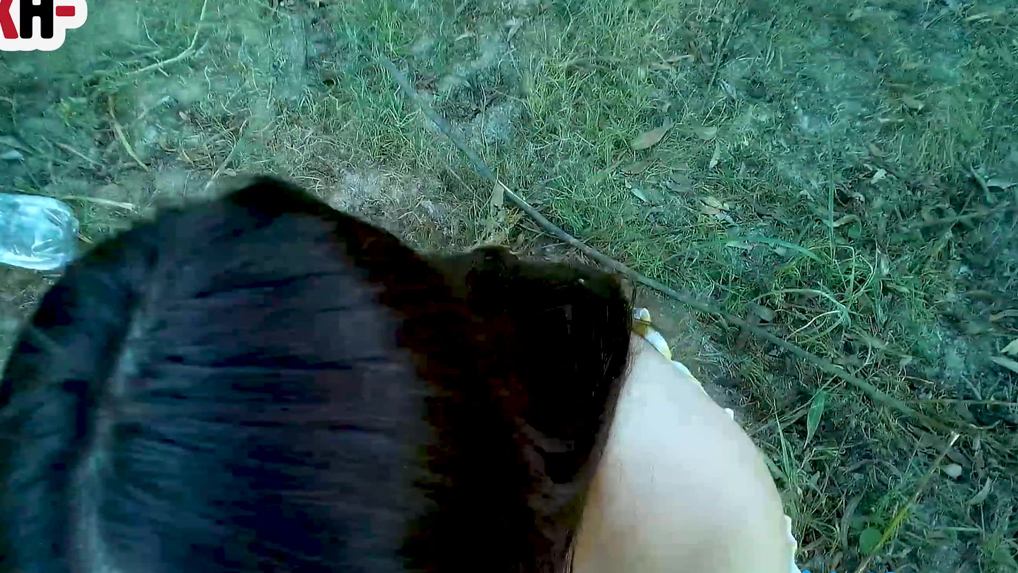 Alinarai Поблагодарили парня за ремонт машины, занялись сексом на при xhamster