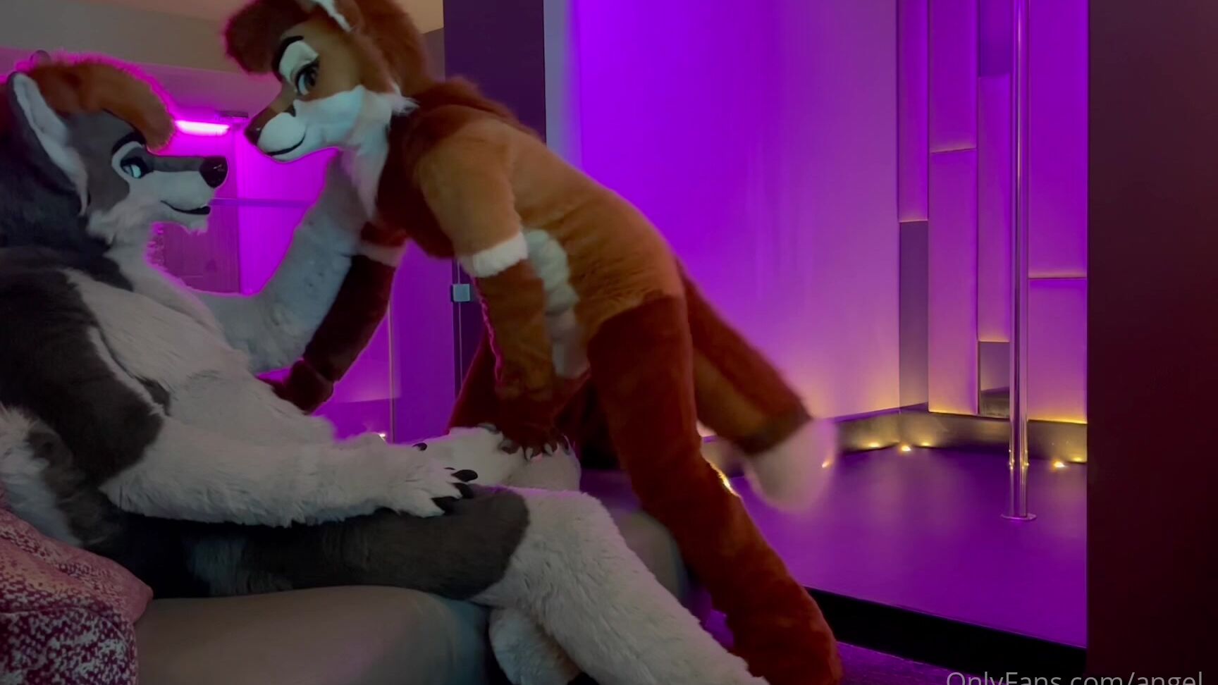 Angel Pups 495429704 What Is This Furry Night Club We Found An Amazing Spac 03 132Ae67E Cb71 4Ce8 B6D8 73C5321Df1E2