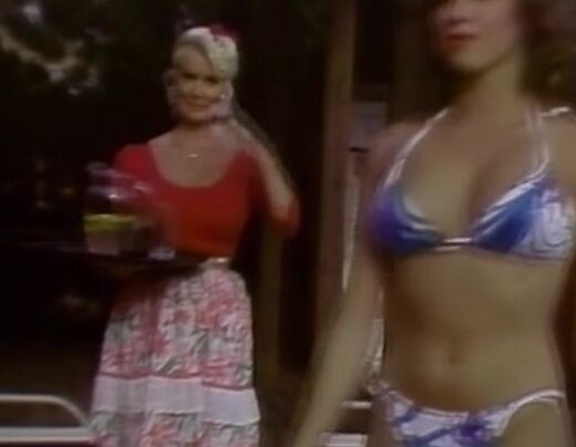 "Bunny Bleu, Dorothy Onan, Helga Sven, Leslie Thane, Mary Kay, Susan Hart, Traci Lords" Classic, Anal, Feature What Gets Me Hot Island Home Video
