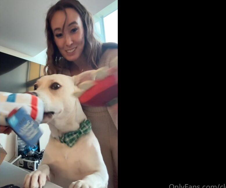 Clca69 3247800707 05 22 2024 Tofu Loves His Monthly Bark Box And I Love To See How Happy He Is