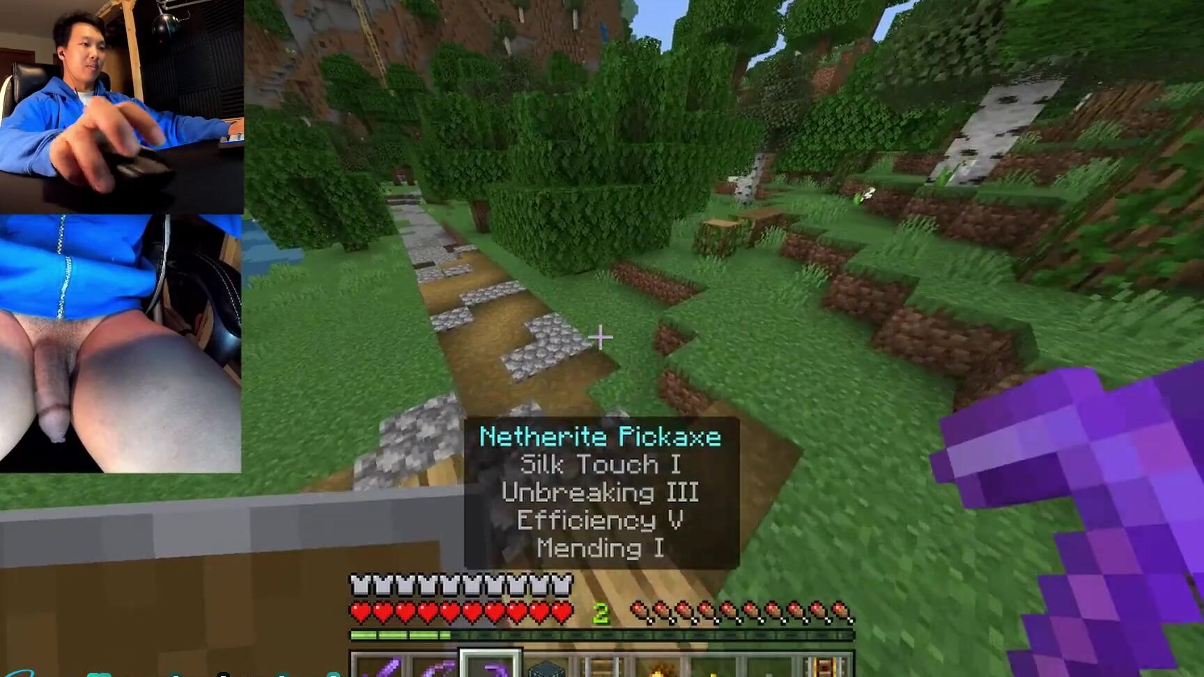 "Say Uncle" Minecraft, Gay Video Game, Suggest Say Uncle Playing Minecraft Naked Ep 5 Lots of good trades and Iron farm Pornhub