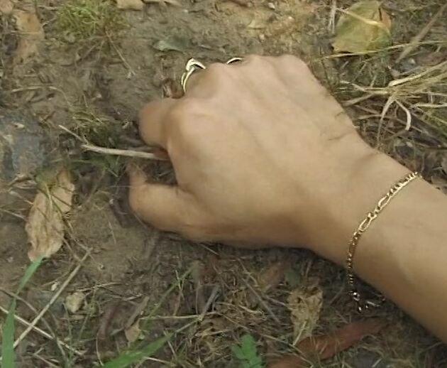 All Sex, German Girl Marina SiteRip