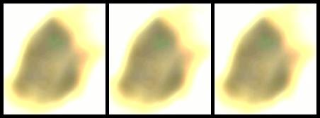 1 On 1 Condensed Milf 2 Nature Takes Its Course 14 04 12