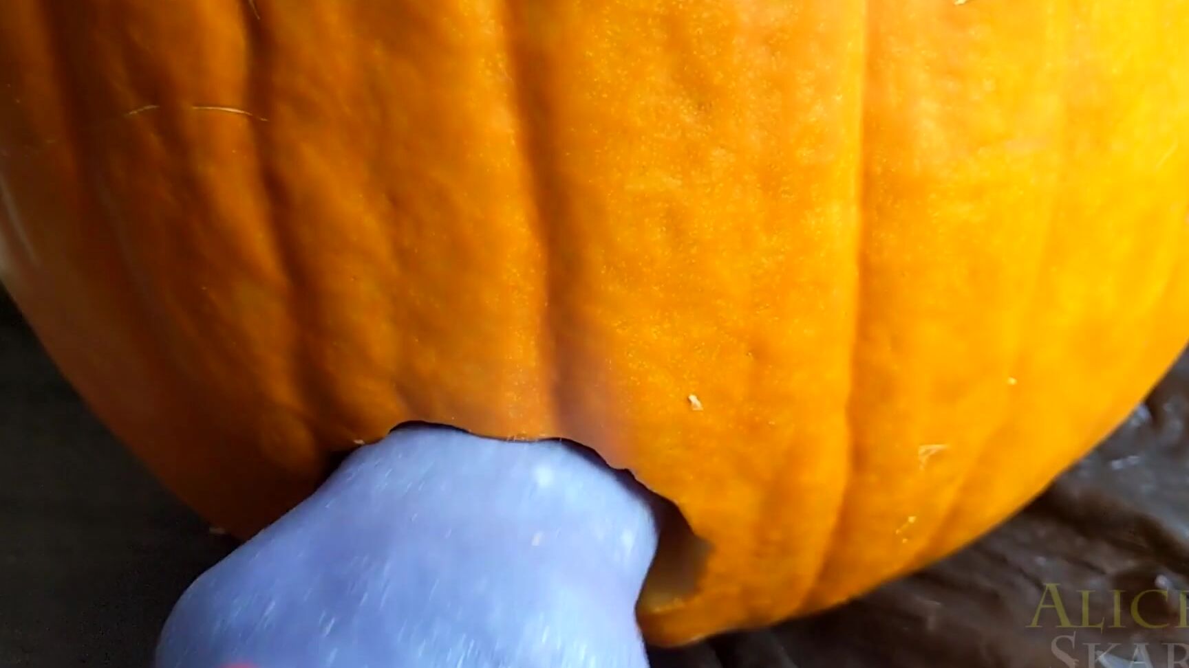 Aliceskary Transformation Fuckslut To Fuckpumpkin