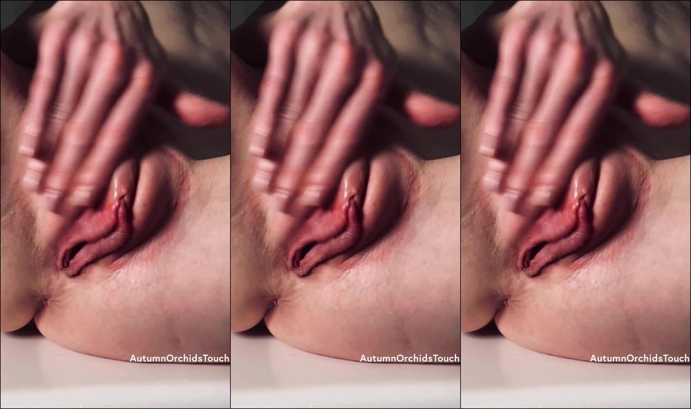 Autumn Orchid 653016052413767680