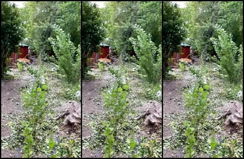 Kiki Kitsune Nicknamed Kiki Kitsune 09 09 2020 Onlyfans Video Life Update