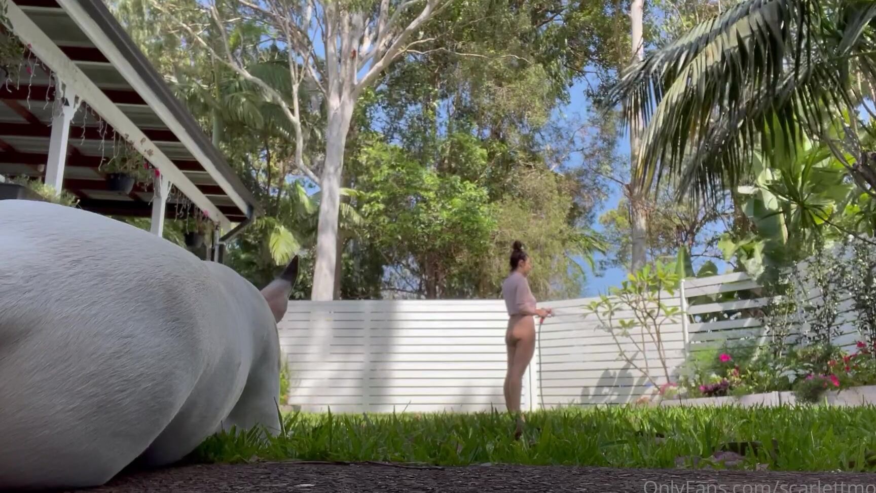 Scarlettmorgan More Regular Girl Stuff