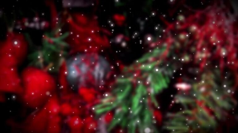 Black & Ebony, Christmas, Close-Ups, Glass Dildos, Petite vixi vee free santa baby teaser ManyVids