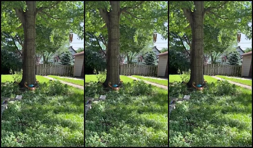 Missarcanaplus Nicknamed Missarcanaplus Onlyfans Here Are 6 Videos That I Made The Other Week Same Day I Did A Live On Tiktok With Ashley I Deci 1