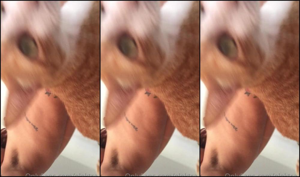 Elektra 7 2651268293 10 23 2022 Bom Diaaaaa Resultado Da Marquinha A Lt3 Gostei J Quero Fazer Denovo Hihihi