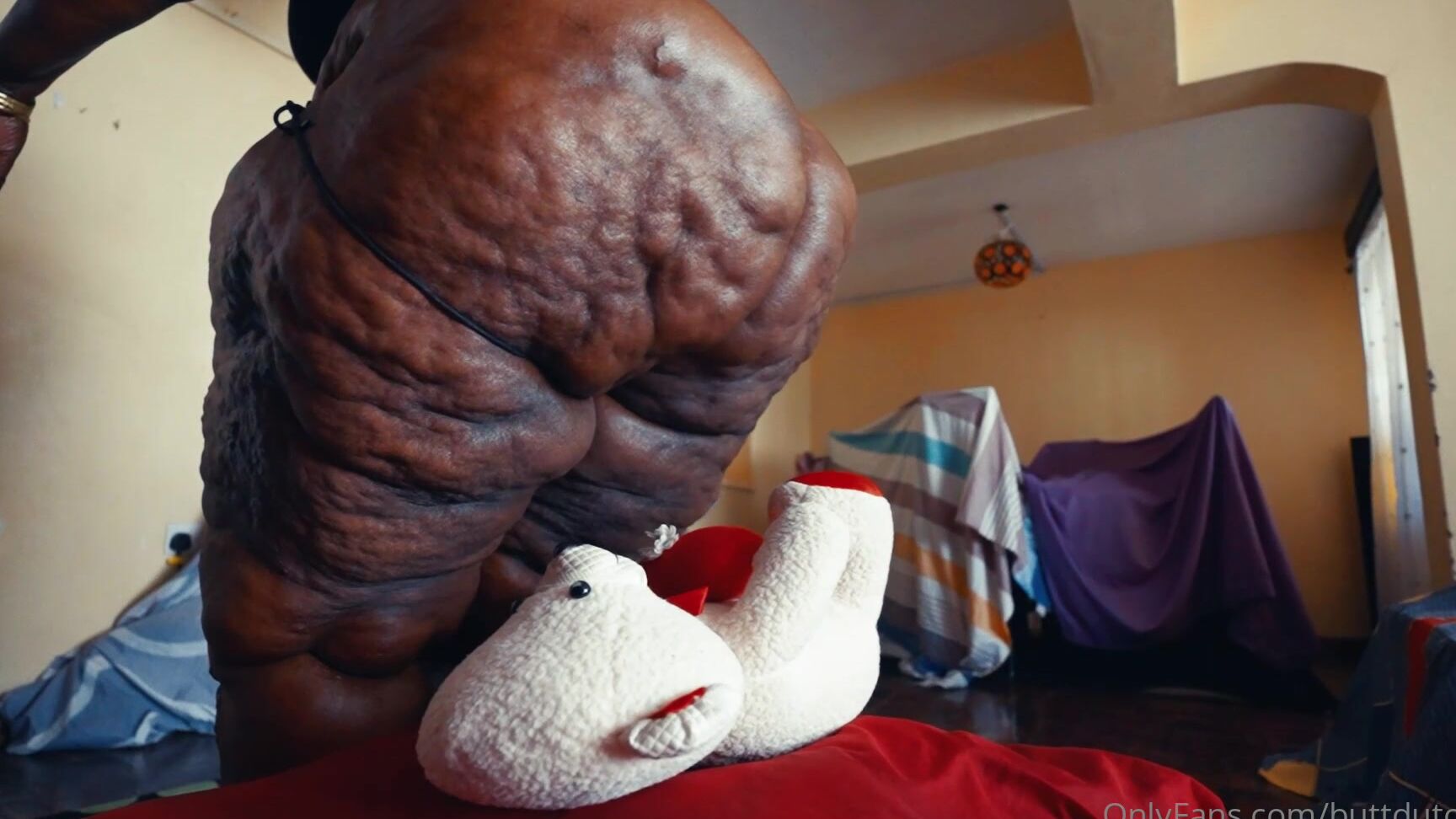 Buttdutchess You Almost Pity The Bear Onlyfans XXX