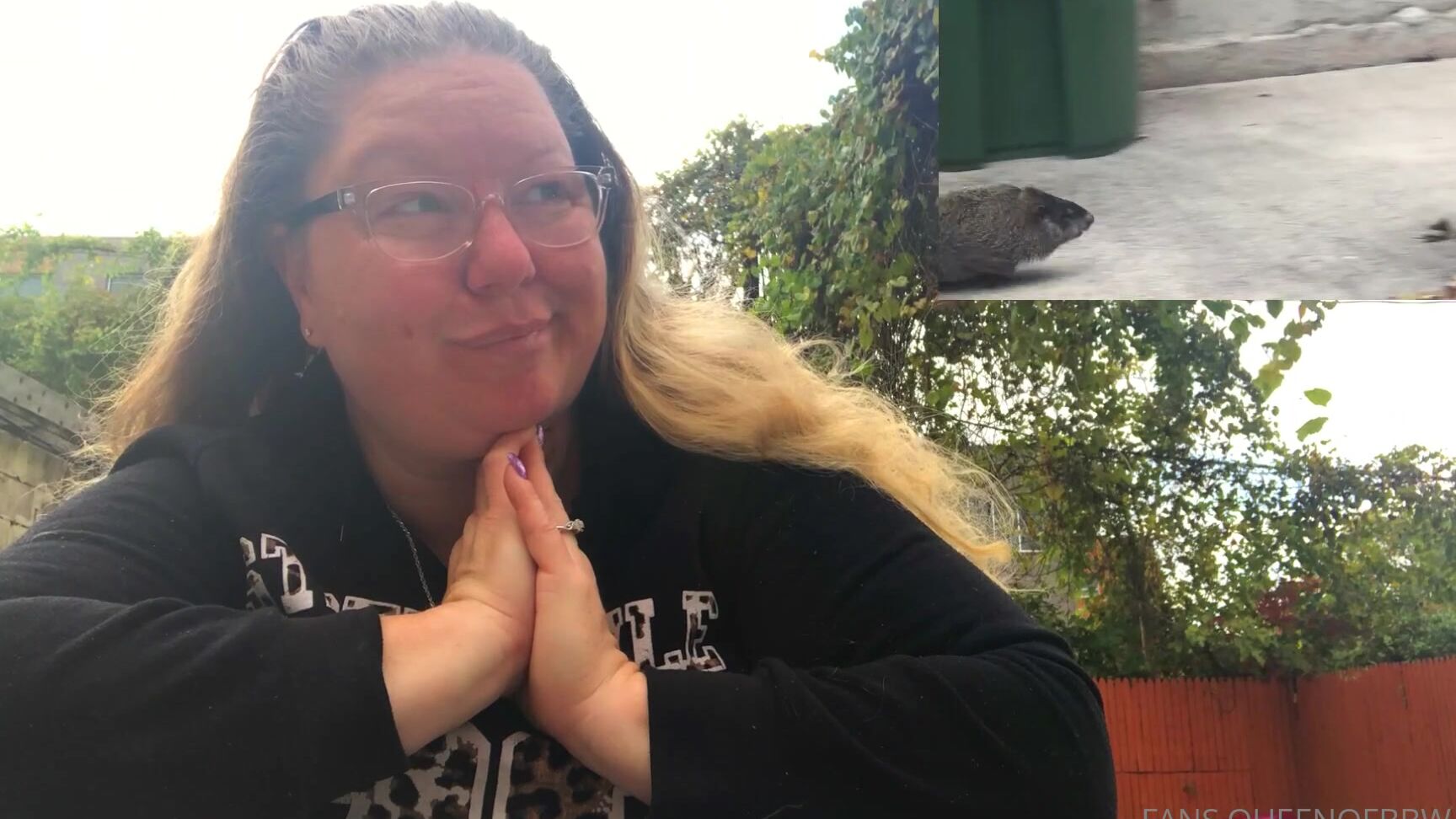 Platinumpuzzy My Ground Hog Blog