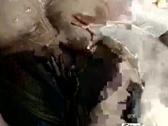 Fanny Steel Futterungs Zeit Fur Susse Ferkel