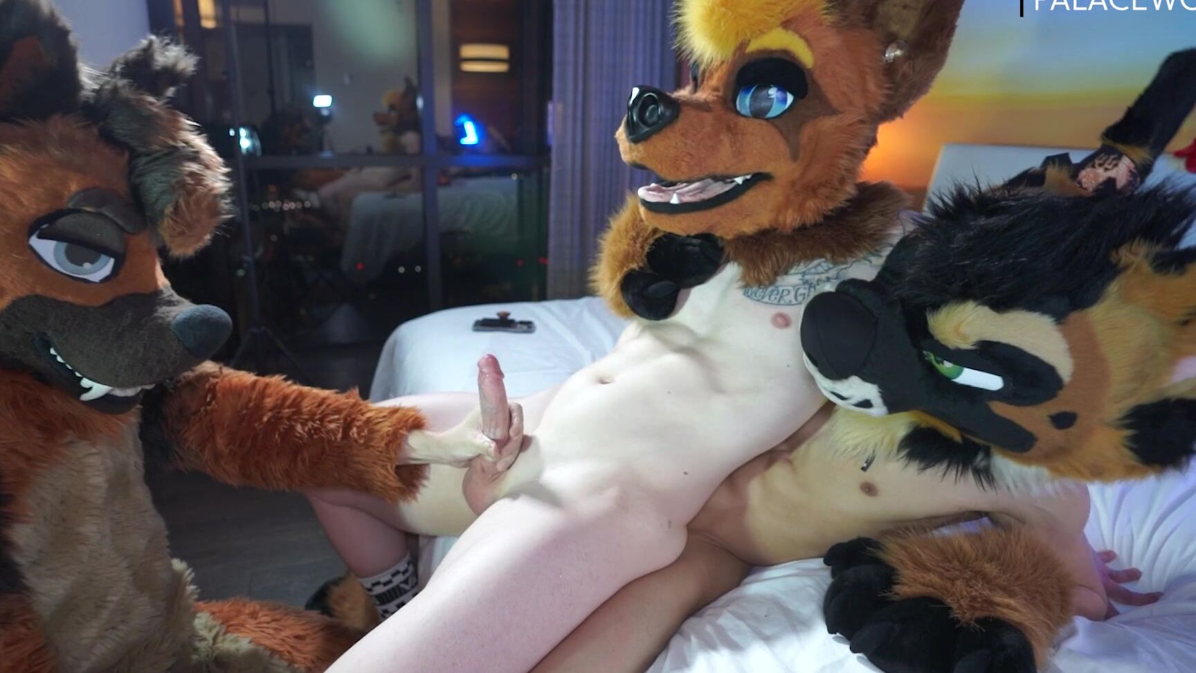 Palacewolf 1099027435 Sneak Peak Want A Turn Getting In This Shep Sandwich 01 0Hqb7Abhufs8W1Jsk4N6F Source