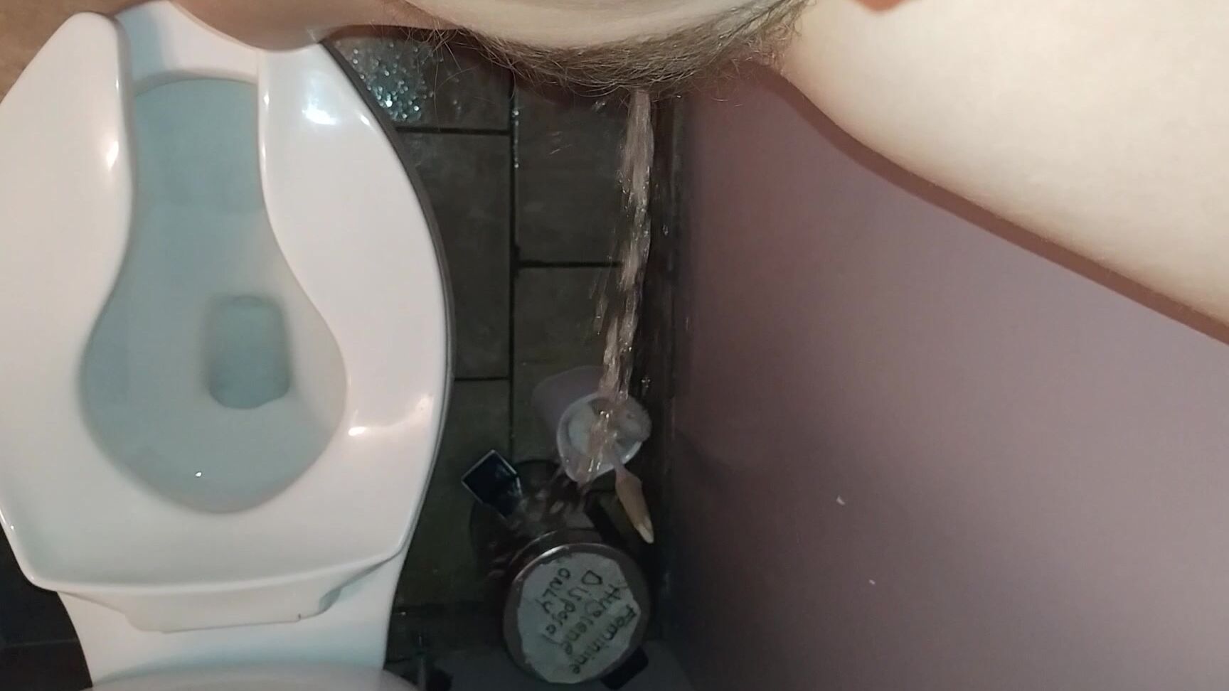 Pee, Hairy Bush, Public Toilet, Toilet Fetish, Toilet Humiliation candiecane pool hall bathroom floor piss ManyVids