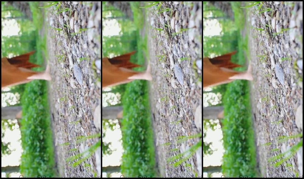 Freakyfjonda Onlyfans Happy Monday Cet