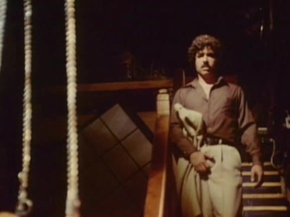 "Jamie Gillis, Serena, Hillary Summers, Nancy Suiter, Christine Anderson" All Sex, Hardcore, Classic, Lesbian, Oral, Fisting, Fetish 800 Fantasy Lane VCX