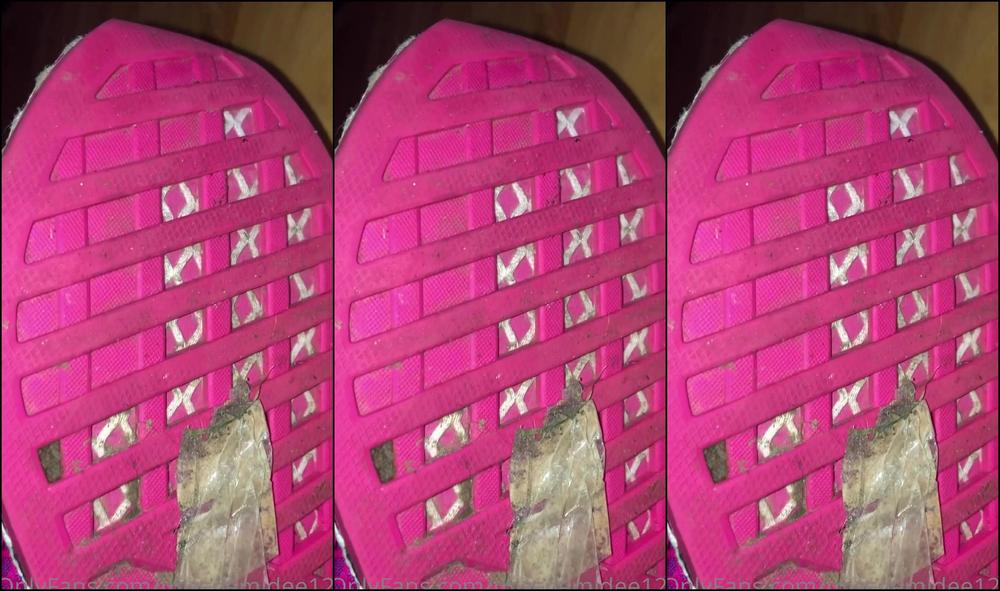 Missdemidee Do You Wish You Could Be Turned Into Nothing More Than A Shoe Cleaning Machine And Foot Wo