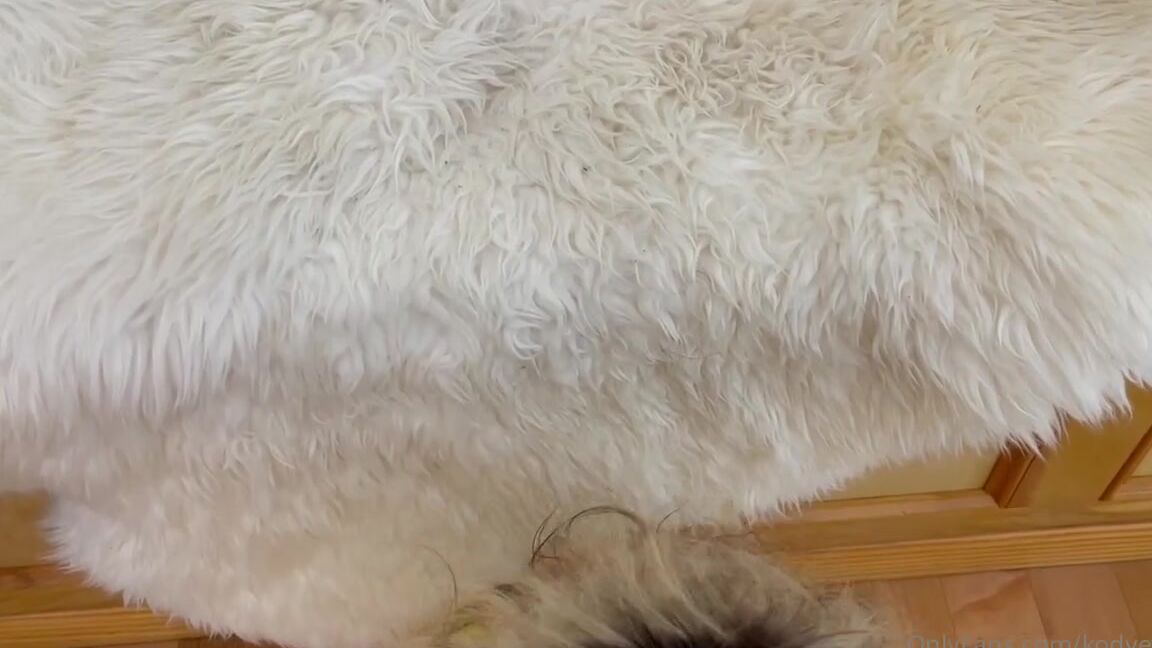 Kodyevans Onlyfans Lemon Avenger Is Here To Make You Worship Her Feet Then Gives You A Pov Blow Job Feet Pov