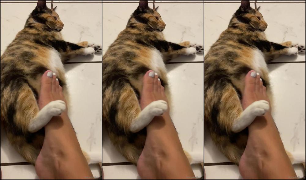 Goddesstalltasha 149509868 02 13 2020 Giving My Fatty Some Belly Rubs With My Feet She S Too Precious For Words