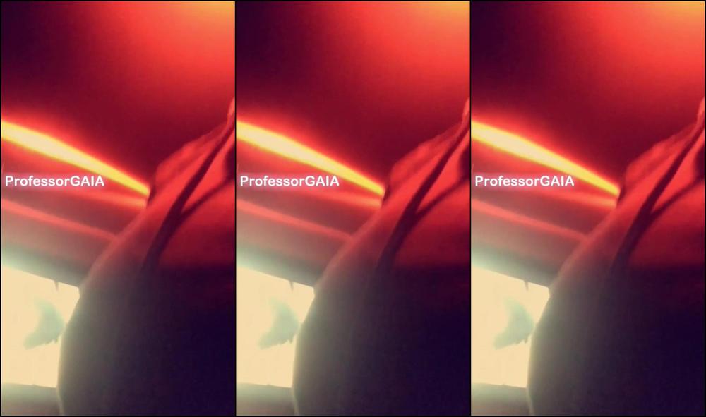 Professor Gaia St Arcade Snap Life Story Ft Blkpornmatters For S