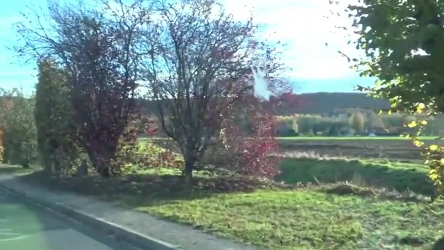 "Maeva,Morgane" France, All sex, Facial, Mature, DP, Anal Dans Le Cul De La Cougar Abricot Production, Ange Elle