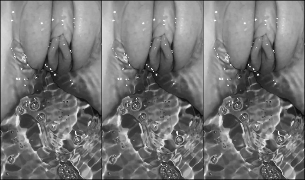 Autumn Orchid 613292076011892737