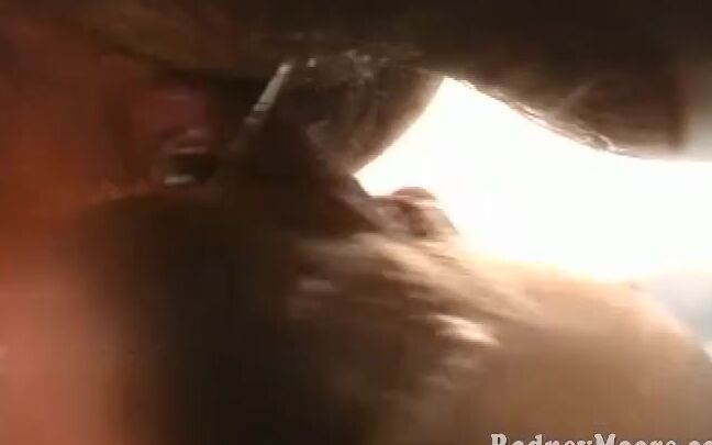 Rodneymoore Ds17 Michelleraven Rim