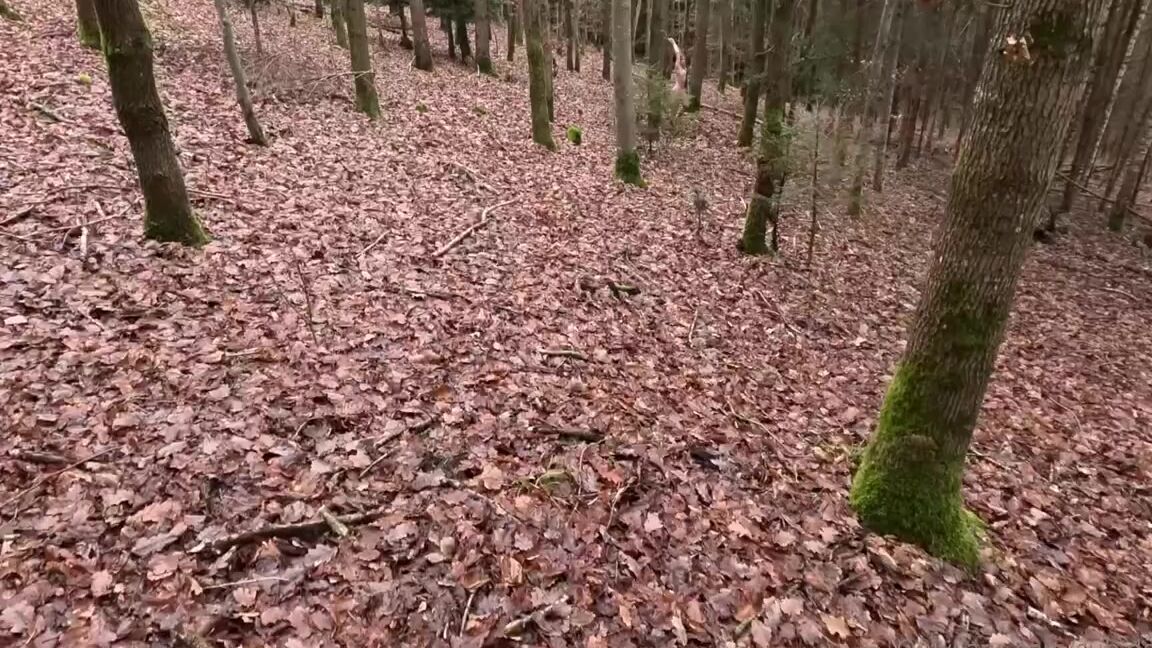 Jazzyyluxx Nicknamed Jazzyy Luxx 01 03 2024 Onlyfans Video Die Arme Sklavin Wurde Von Ihrem Herren Im Wald Ausgesetzt