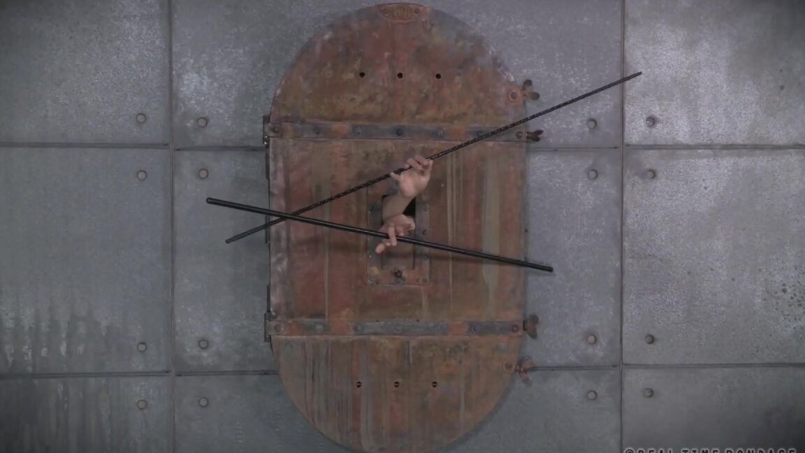 Fetish, Torture, Bondage, Toys, BDSM, Humilation Ashley Lane. Cunt Puppy Part 1 SiteRip