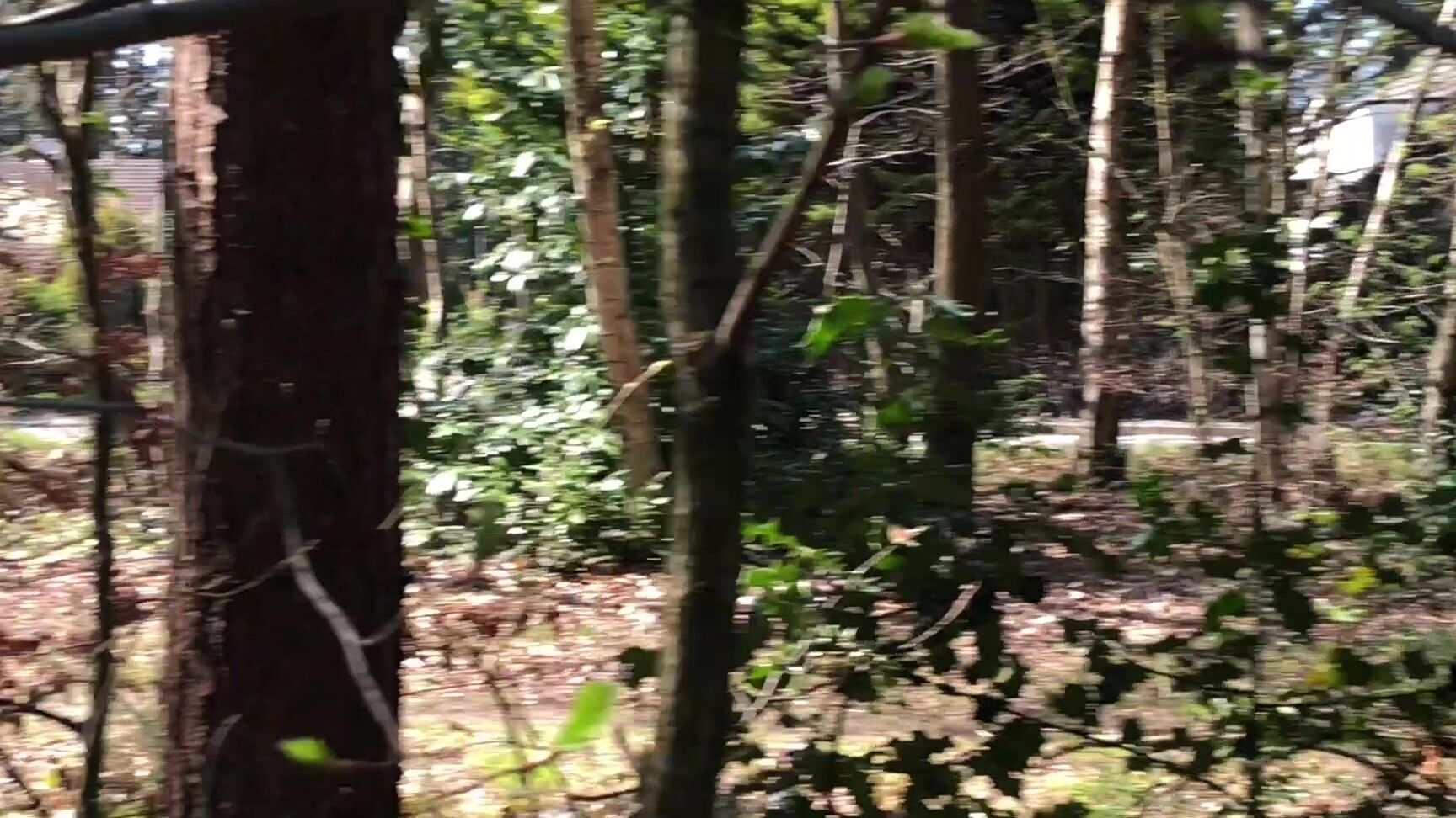 Lounicorn A Day Out Bj Edition