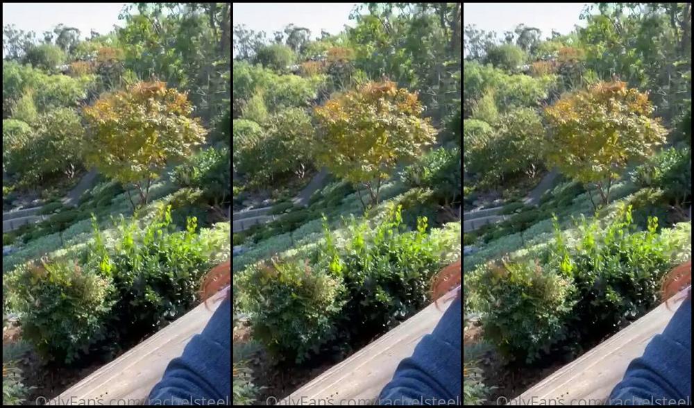 Rachelsteele 2307006881 12 20 2021 New Beginnings