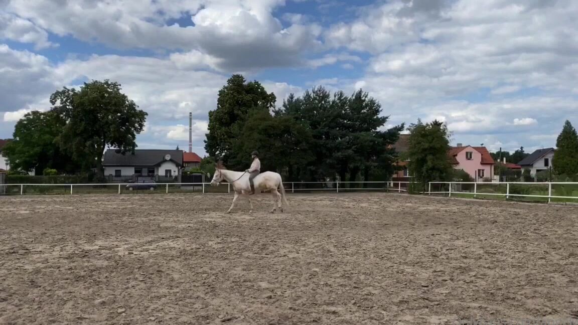 Angelwicky No Saddle No Stirrups No Bit No Whip Just A Freedom Unconditional Love Hap