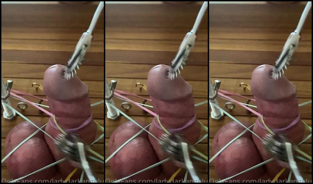 Ladydarkangeluk Onlyfans Cock Trapped And Tickled With Spikes Missing My Bestie Miss Courtney Loads Can T Wait For Dec