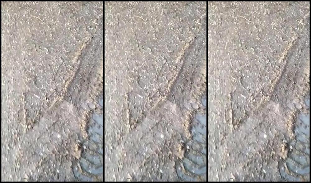 Herrinlady Onlyfans Hier Zeige Ich Mehrere Kurz Clips In Heien Leder Und Lack Outfits Und Kleinen Szenen Von Meinen Sesp