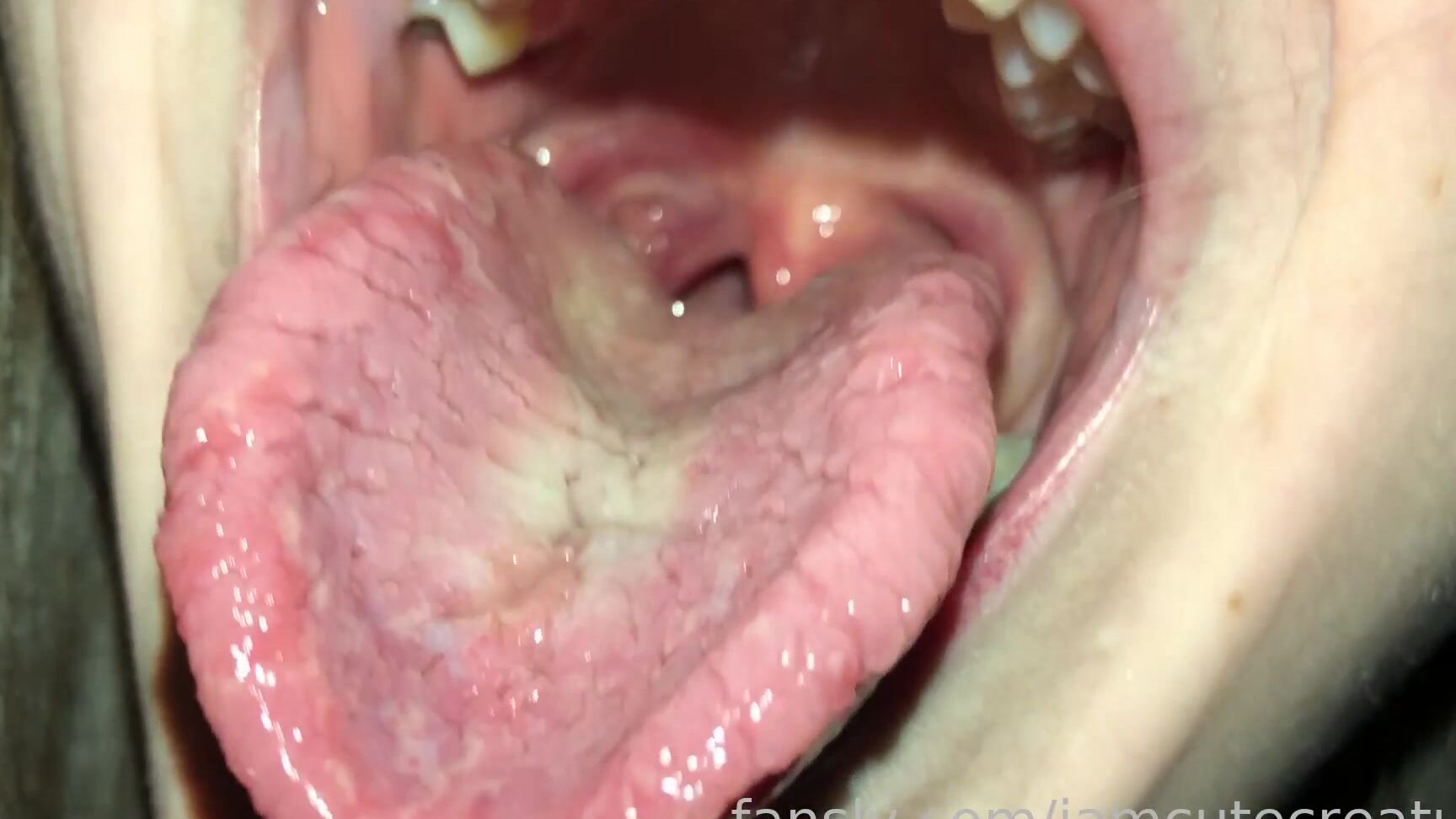 iamcutecreature 2022-11-25 05-15 Fansly