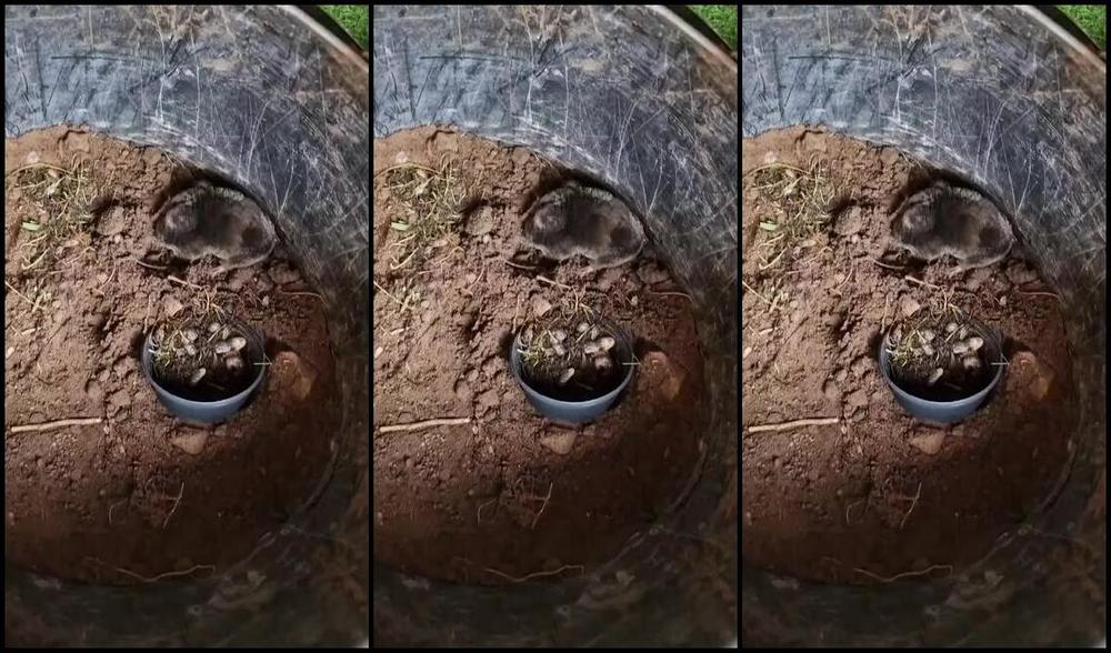 Kathianobilixx Findom 07 03 2024 Onlyfans Video And Now Some Of My Life Lately Happening