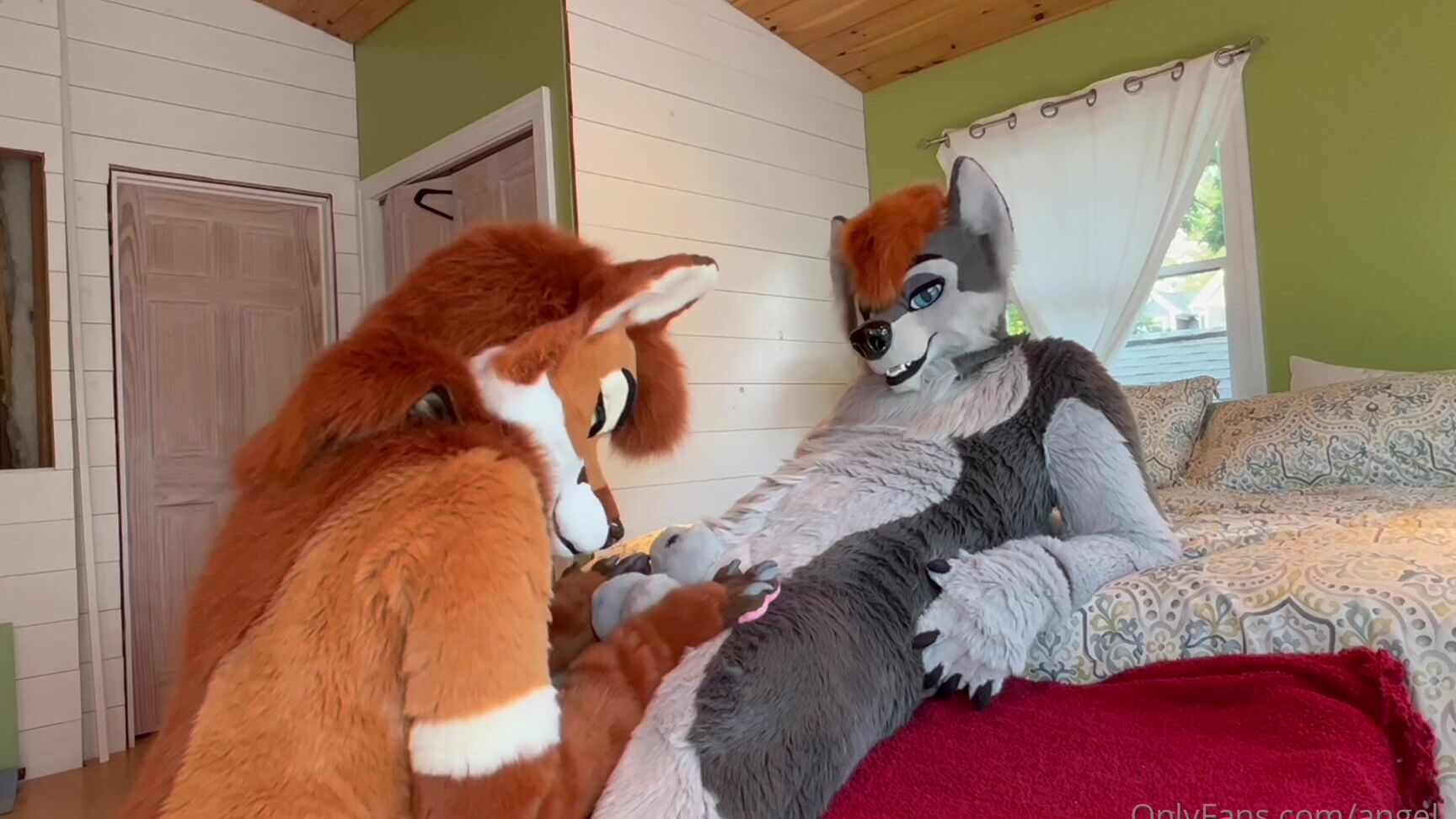 Angel Pups 694098590 Typical Storm And Mocha Behavior 01 2Db109Bd 5077 403E B967 B0Ff2459D883