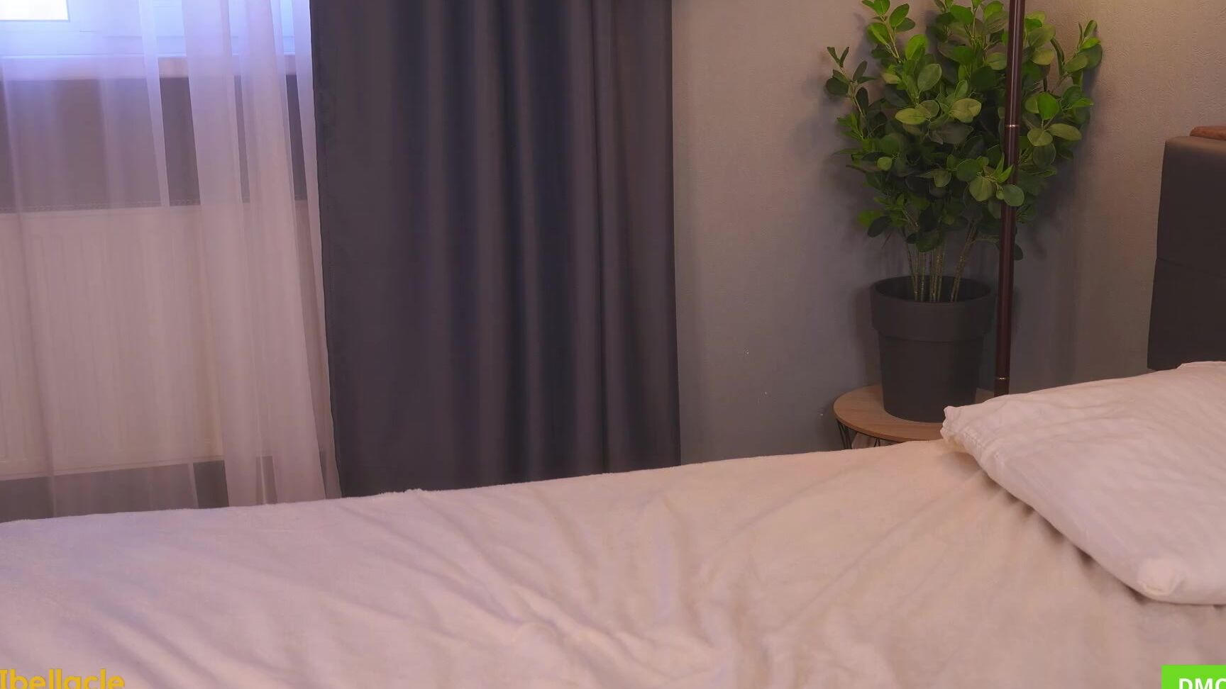 Bellacle2025 05 19 11 06