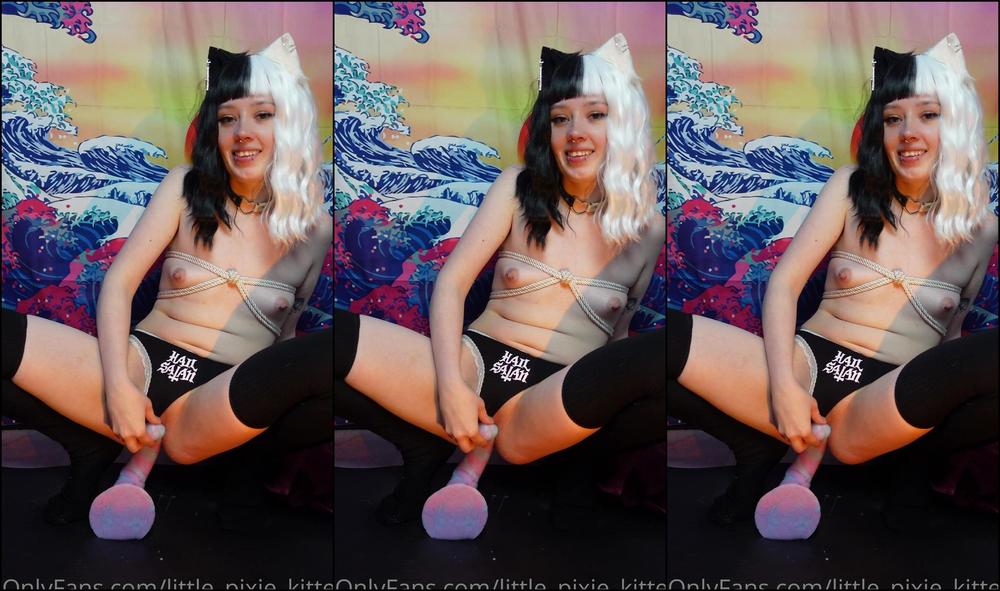 Little Pixie Kitten I Had So Much Fun With This Toy Large Tyson Please Remember To Like My Posts When You See