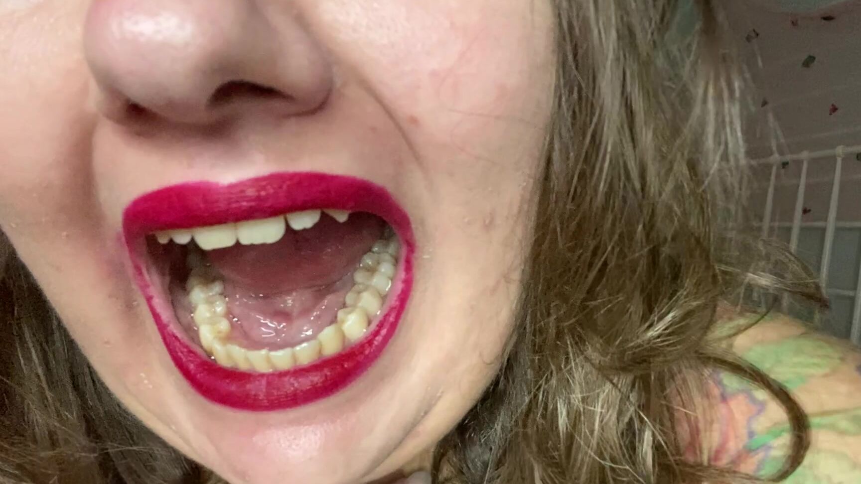 Rubberfoxx Be My Dentist