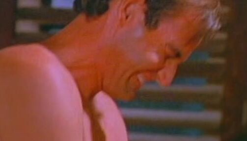 MILFs, Anal, Big Tits, Facial, Busty Tight Spot Western Visuals