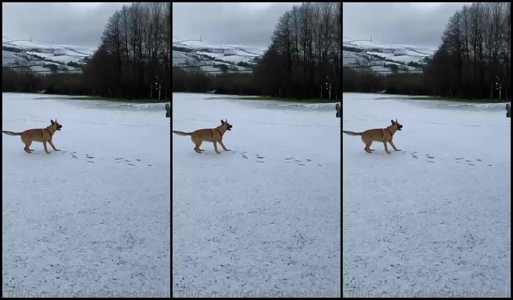 Ladydarkangeluk Onlyfans So We Have Gone From Two Walks In The Snow And Loving It To Just Spending An Hour At The Vets As