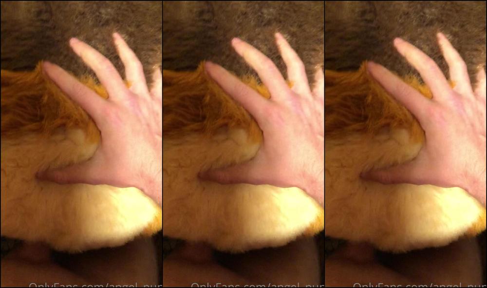 Angel Pups 209565775 Here S The First Murrsuit Content Storm And I Made Together 01 B2Ff3776 3B4B 4Bba 9D7F 534E1C5460Ba