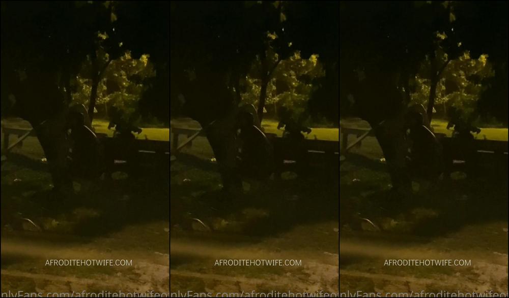 Ofcafroditerj Tentantiva De Dogging Parte Conhecemos Um Amiguinho Afroditehades E Ele Estava De