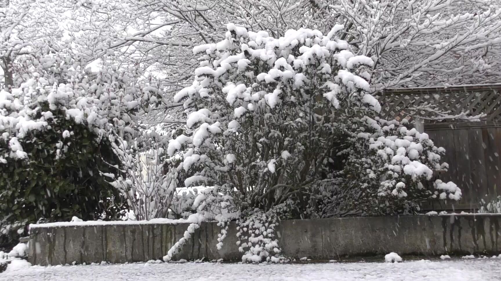 Boots,Hat Fetish,Outdoors,Public Flashing,Public Nudity tigger rosey fooling around in the snow ManyVids