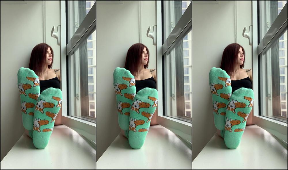 Worshipnova Corgi Socks Worship And Humiliation