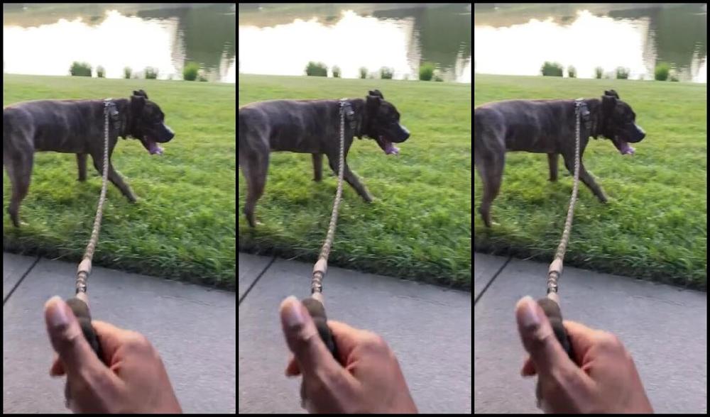 Magical Mesha Nicknamed Magicalmeesh Foot Fetish 09 12 2023 Onlyfans Video I Know Yall Wish I Can Have You On A Leash Like This